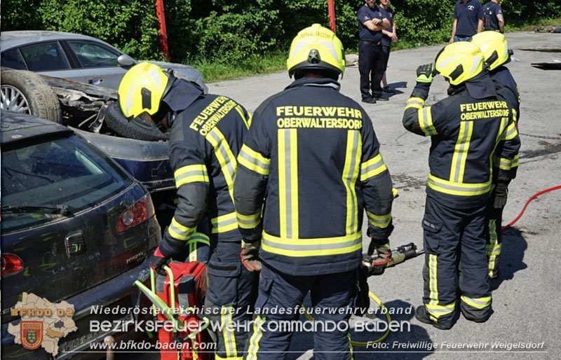 3. Rescue Day in Weigelsdorf 3. Rescue Day in Weigelsdorf