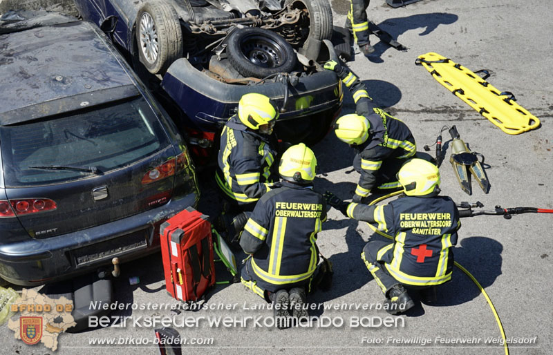 3. Rescue Day in Weigelsdorf 3. Rescue Day in Weigelsdorf