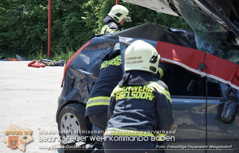 3. Rescue Day in Weigelsdorf 3. Rescue Day in Weigelsdorf