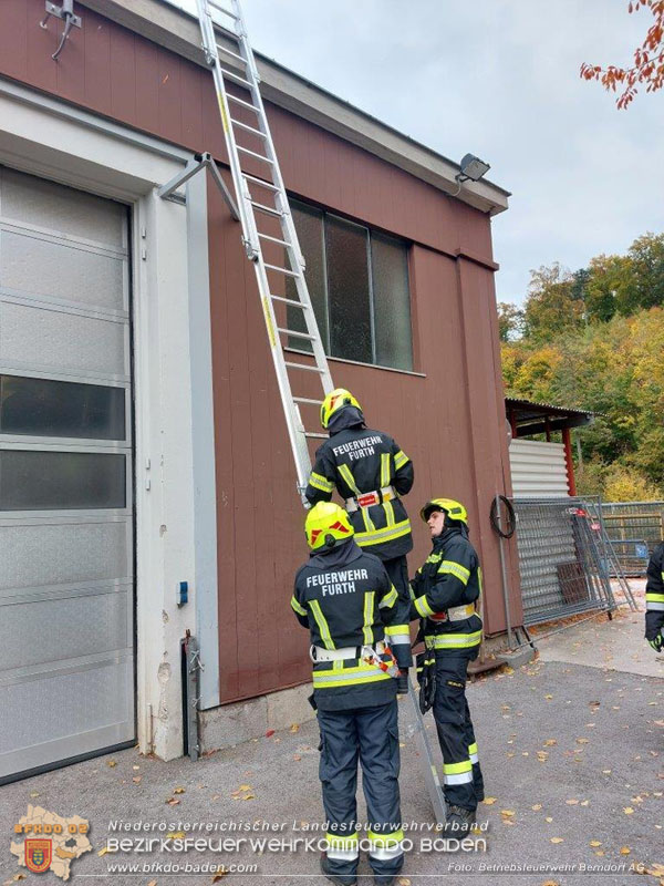 20251019_31 neue Feuerwehrmitglieder erfolgreich ausgebildet Foto: Harald Staudinger 20251019_31 neue Feuerwehrmitglieder erfolgreich ausgebildet Foto: Harald Staudinger