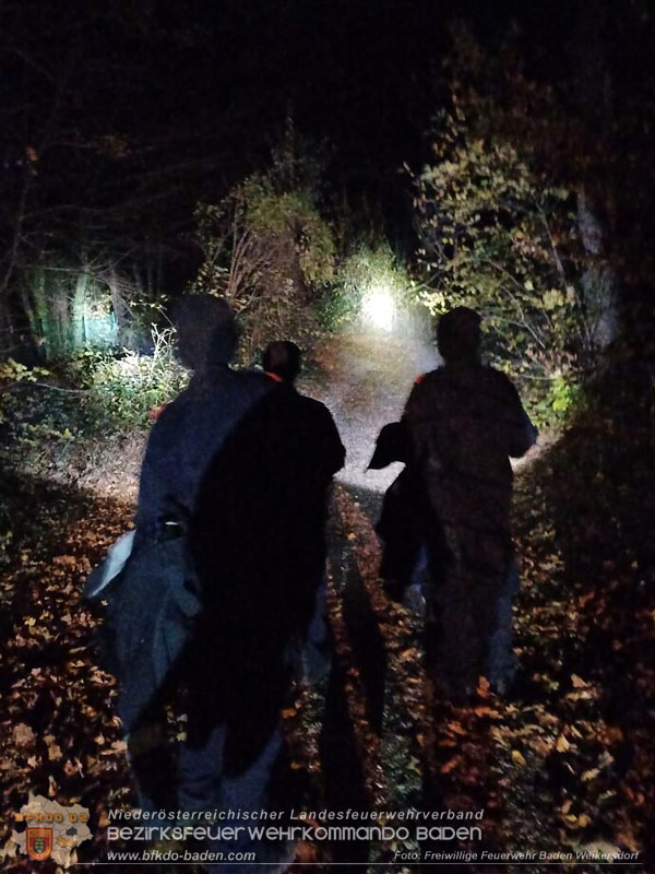 20251108_Nachtwanderung der Feuerwehrjugend des Bezirks Baden in Aigen 20251108_Nachtwanderung der Feuerwehrjugend des Bezirks Baden in Aigen