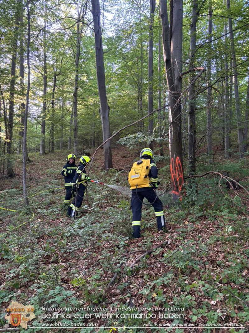 20260513_Waldbrand�bung der Feuerwehr Weissenbach an der Triesting  Foto: FF Weissenbach/Triesting