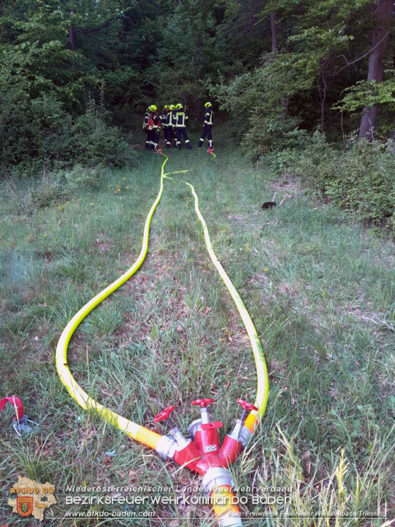 20260513_Waldbrand�bung der Feuerwehr Weissenbach an der Triesting  Foto: FF Weissenbach/Triesting