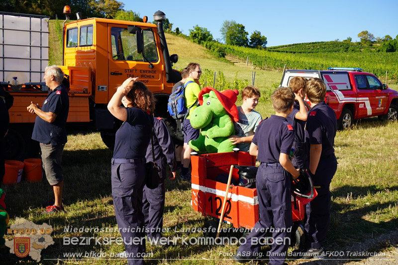 20260822_Premierenstimmung in den Weinbergen: Erstes Feuerwehrjugend-Seifenkistenrennen im Bezirk Baden - Foto: ASB Ing. Daniel Bartmann AFKDO Traiskirchen