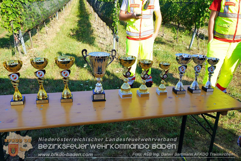 20260822_Premierenstimmung in den Weinbergen: Erstes Feuerwehrjugend-Seifenkistenrennen im Bezirk Baden - Foto: ASB Ing. Daniel Bartmann AFKDO Traiskirchen