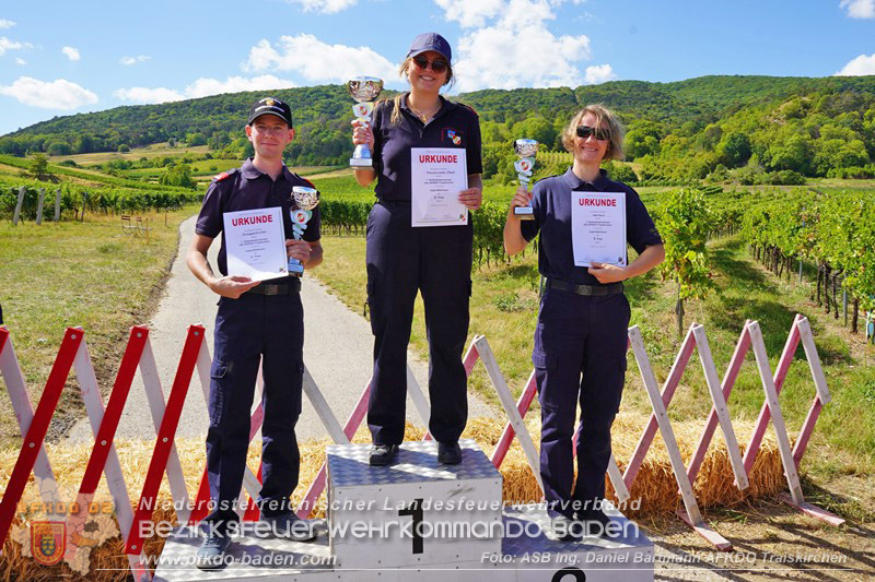 20260822_Premierenstimmung in den Weinbergen: Erstes Feuerwehrjugend-Seifenkistenrennen im Bezirk Baden - Foto: ASB Ing. Daniel Bartmann AFKDO Traiskirchen