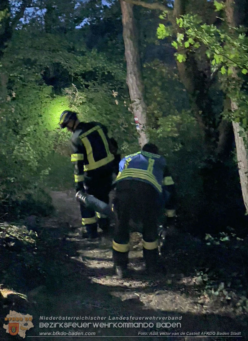 20260909_Badener Feuerwehren �ben Waldbrandbek�mpfung im Breich der Ruine Raueneck
