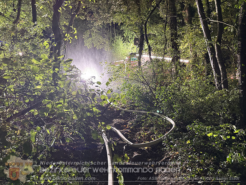20260909_Badener Feuerwehren �ben Waldbrandbek�mpfung im Breich der Ruine Raueneck