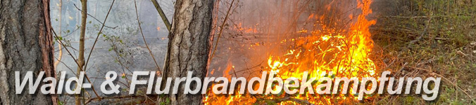 Sonderdienst Wald- und Flurbrandbekmpfung